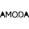 AMODA Project Accounting