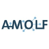 AMOLF PhD-student: Eco-design of thin Si PV