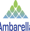 Ambarella Software Developer