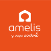 Amelis Services Responsable de secteur en alternance H/F