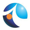 Analogics Tech India Ltd Engineer - Projects