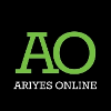 Ariyes Online Odoo Developer