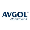 Avgol FP&A Analyst