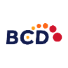 BCD Analyst - Information Security