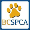 BCSPCA Animal Care Attendant - ACA1 -429