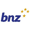 BNZ Senior Business Analyst