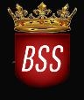 BSS Poland Regional Project Manager HR Services