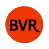 BVR Group Asia Head Chef