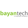 BayanTech WordPress Developer