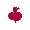 Beetroot Senior Mobile Engineer (Flutter)