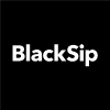 BlackSip Ecommerce Consultant