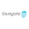 BlueGate Consulting Project Manager