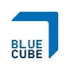 Blue Cube Services Travel Rule Monitoring Analyst