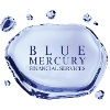 Blue Mercury Financial Services Discovery Insurance Product Trainer