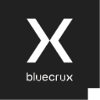 Bluecrux Frontend Developer