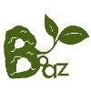 Boaz International Education Institute Limited SEN Learning Support Instructor Trainee (English / Chinese) (Full time) (特殊需要學習支援導師)