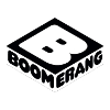 Boomerang Tax Manager