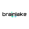 Brainlake Advertising LLC Customer Experience Designer (CX)