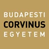 Budapesti Corvinus Egyetem Head of Institutional Communications Team Leader