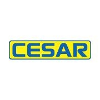 CESAR SPA Addetti alle vendite Cesate (MI)