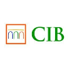 CIB Bank Mid corporate credit analyst