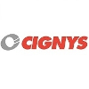 CIGNYS Industrial Painter