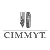 CIMMYT IRS24141 Wheat Scientist / Breeder