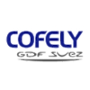 COFELY ESPANA IT Expert, Digital Transformation