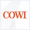 COWI Senior People & Organisation Business Partner