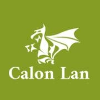 Calon Lan Community Care job listing