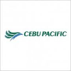 Cebu Pacific Jr Risk Management Analyst