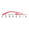 Cobredia CONSEILLER EN LIVRAISON DE VEHICULES - MERCEDES LORIENT H/F