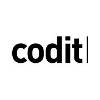 Codit IT Internship