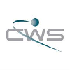 Computer World Services Incident Handler