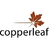 Copperleaf Technologies Inc. Software Developer | Value Frameworks (Spain)