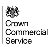 Crown Commercial Service Commercial Manager