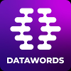 Datawords Content Manager and Copywriter - French speaker