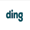 Ding Senior Engineer (Android)