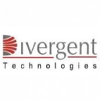 Divergent Business Solutions SRL ASISTENTE CONTABLE