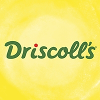 Driscoll's Accounting specialist Morocco