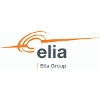 Elia Grid International HV Substation Project Manager