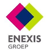 Enexis (Medior) Software Engineer Data Services