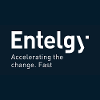 Entelgy Network Engineer