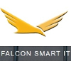 FalconSmartIT Delivery Director ( Data & AI )