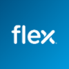 Flex LTD Accountant