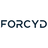 Forcyd Cyber & eDiscovery consultant