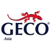 GECO Asia SAAS Customer Success Engineer