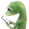 GEICO Local Office Panama City job listing