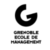 GEM Grenoble Ecole de Management Webmaster H/F