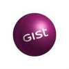 Gist Ltd Transport Planner